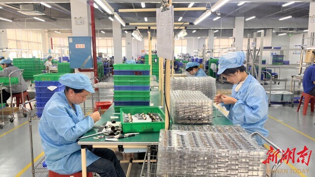 一企业用小小化妆刷“破圈” 湖南日报pg电子模拟器免费版从沿海到内陆炎陵(图3)